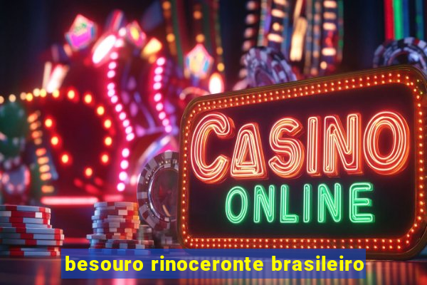 besouro rinoceronte brasileiro